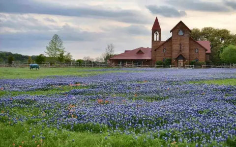 Old Glory Ranch — venue photo 2
